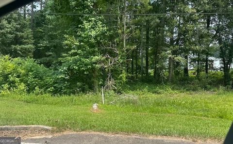 0 Hwy 54 Sharpsburg GA 30277
