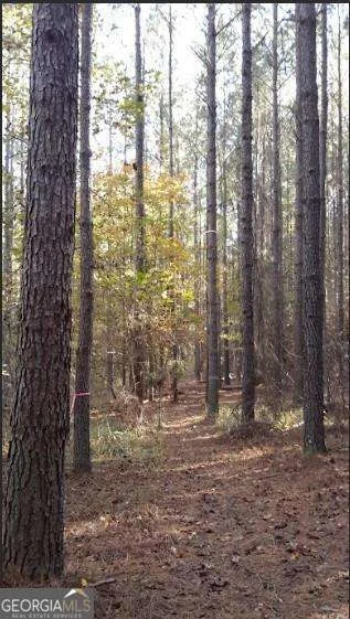 1047 Ponder Trammell Road, Juliette, GA, 31046