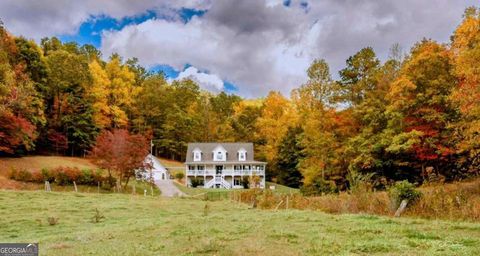 A home in Hiawassee