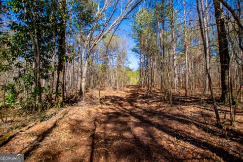 Photo of 0 Hwy 166 E - 21+ acres E, Bowdon, GA 30108 (MLS # 10836130)