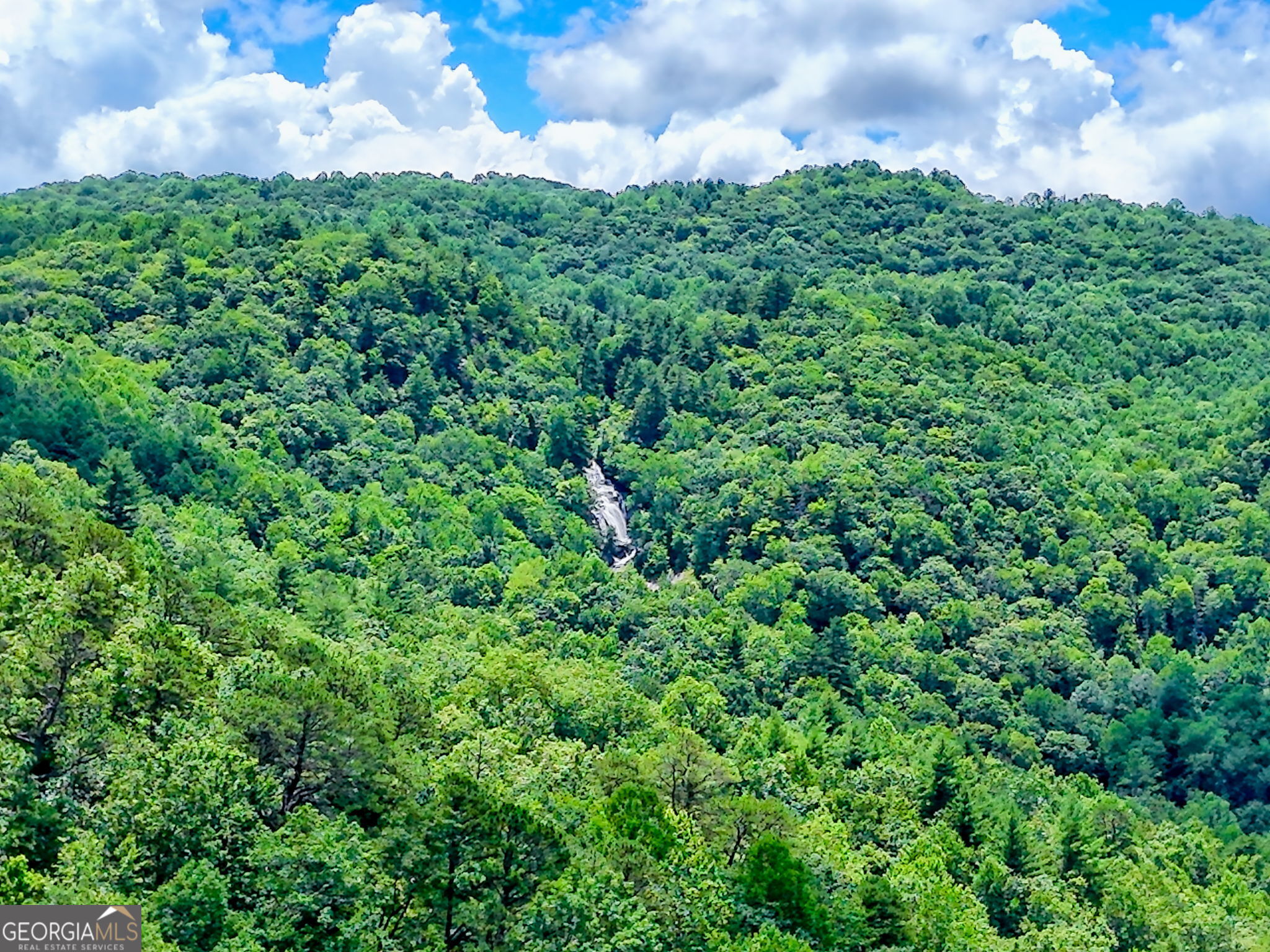 Scaly Mountain, North Carolina 28775, United States, 4 Bedrooms Bedrooms, ,4 BathroomsBathrooms,Residential,Active,171367