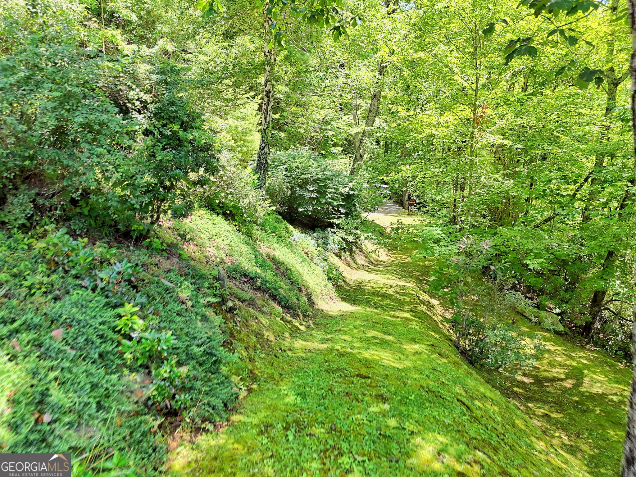 Scaly Mountain, North Carolina 28775, United States, 4 Bedrooms Bedrooms, ,4 BathroomsBathrooms,Residential,Active,171367