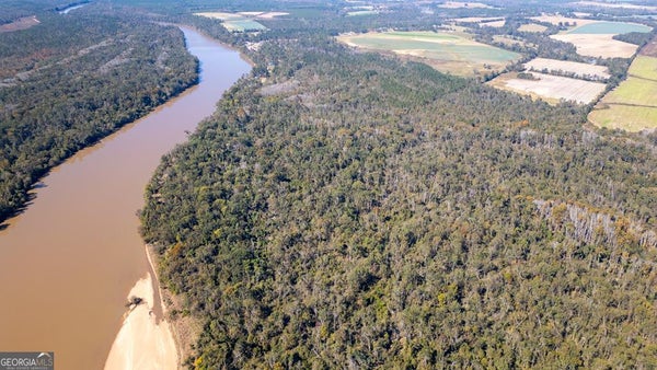 GRAYS LANDING RD, UVALDA, GA 30473 - Image 3f50ca3cdcf78cd1340f5d9facbf17e6/3929737418