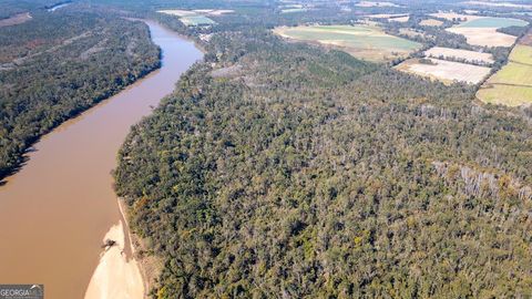 Photo of 0 Grays Landing Road, Uvalda, GA 30473 (MLS # 10768503)