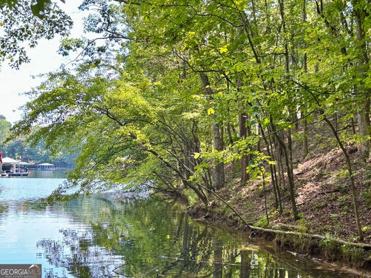 LOT 17 RED EYE LANE, WEDOWEE, AL 36278 - Image 3f5253ebde8cf4dfb37fd074e3dc44ba/3467153487