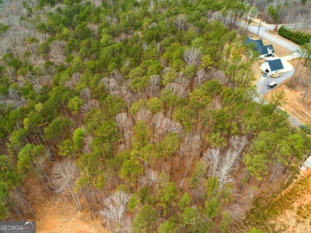 Photo of 4243 Harmony Grove Church Road, Dallas, GA 30132 (MLS # 10831784)