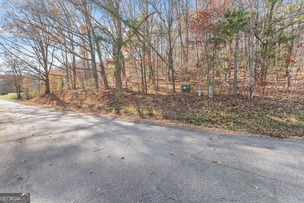 Photo of 5051 Meadow Crest Drive, Cleveland, GA 30528 (MLS # 10840699)