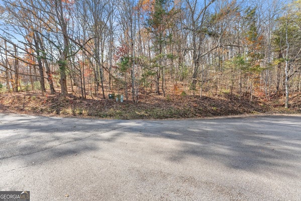 50 MEADOW CREST DR, CLEVELAND, GA 30528 - Image 3f723dcbb96c5bdd79a4ca45548e10fa/2749223843