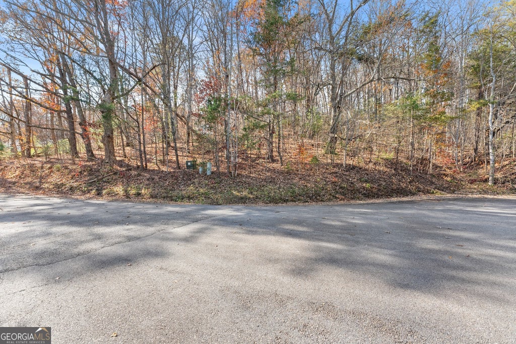 Photo of 5051 Meadow Crest Drive, Cleveland, GA 30528 (MLS # 10840699)