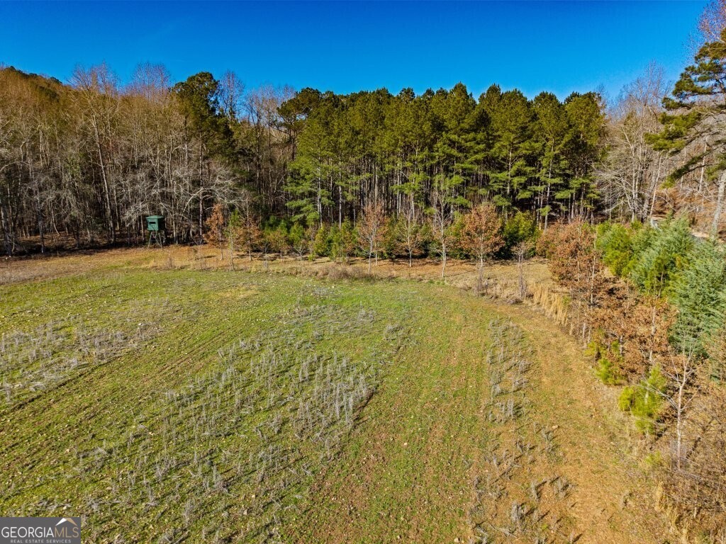 2385 Nebula RD