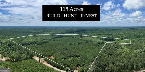 Photo of 0 Noles Road, Franklin, GA 30217 (MLS # 10791648)