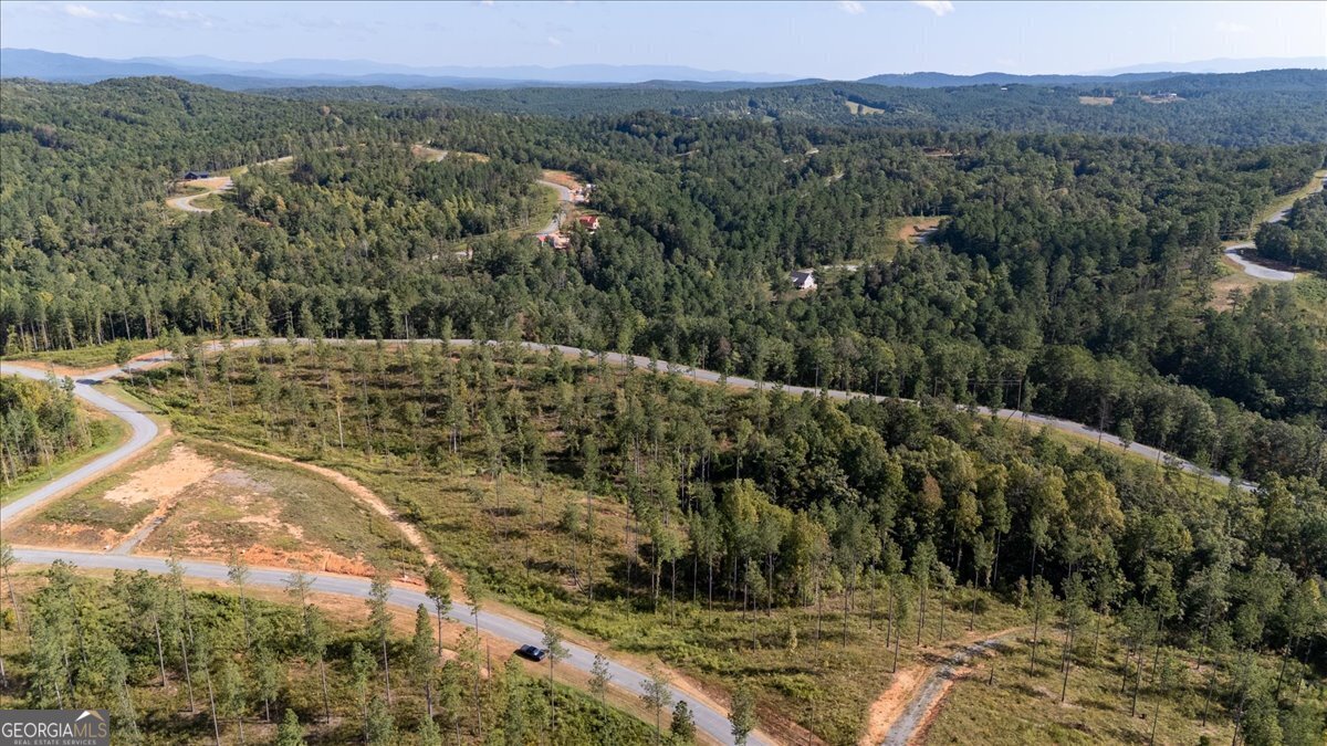 LOT 131 River Reach LN - Photo 4