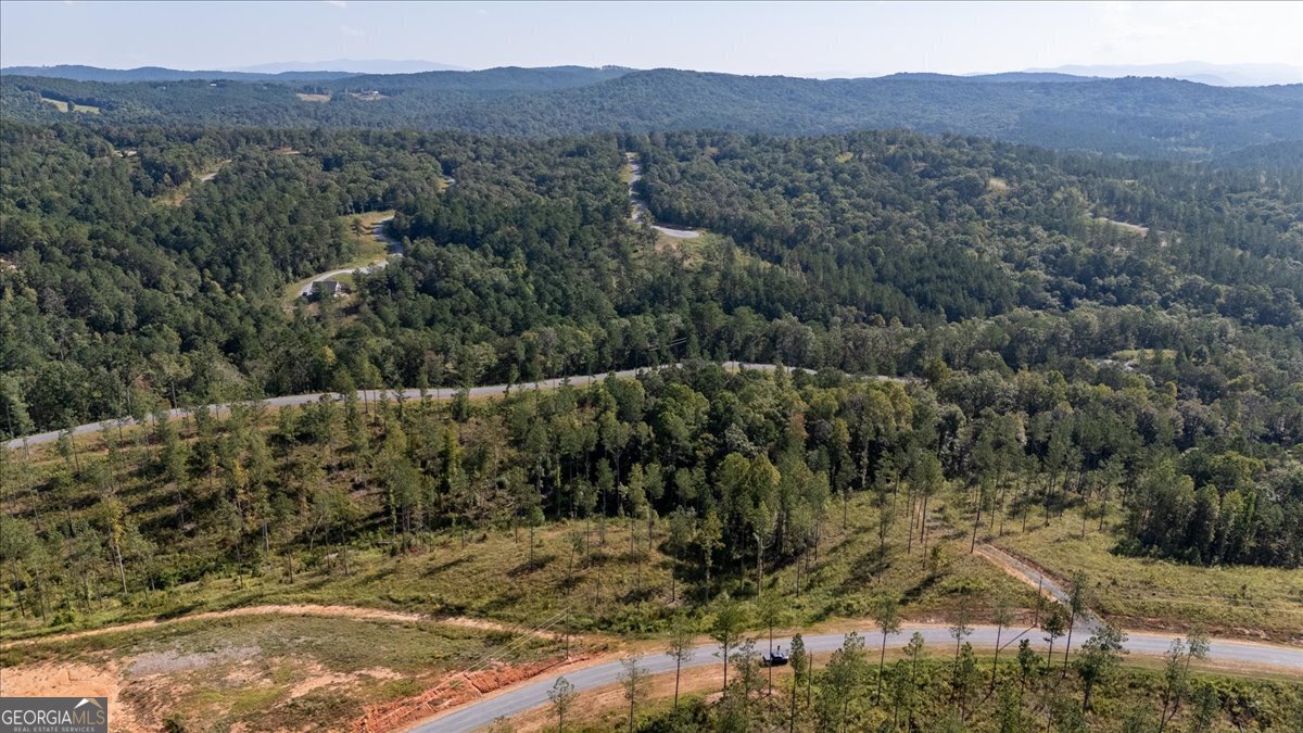 LOT 131 River Reach LN - Photo 3