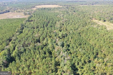 Photo of 0 Upper Hawthorne Trail, Cairo, GA 39828 (MLS # 10632610) Photo of 0 Upper Hawthorne Trail, Cairo, GA 39828 (MLS # 10632610)