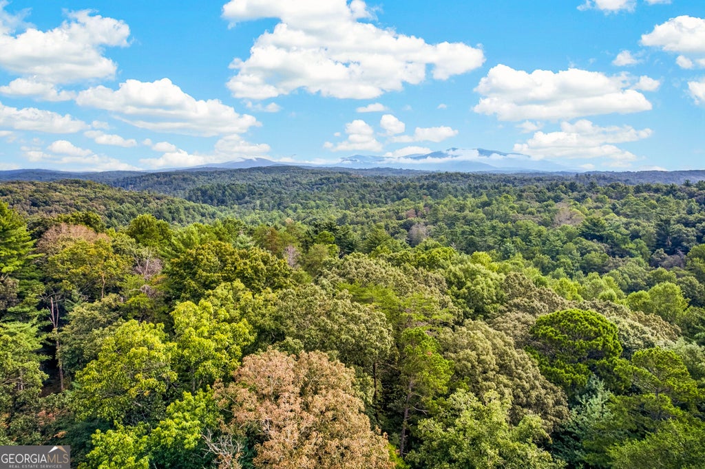 Photo of 14 Clear Creek Preserve Way, Ellijay, GA 30536 (MLS # 10837918)