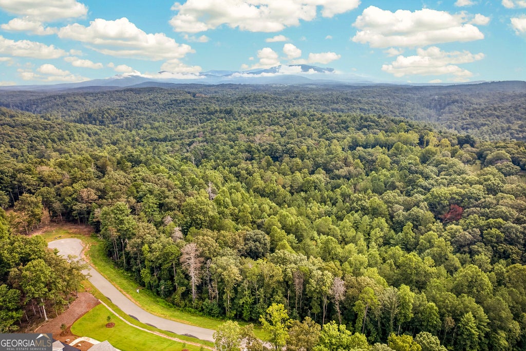 Photo of 14 Clear Creek Preserve Way, Ellijay, GA 30536 (MLS # 10837918)