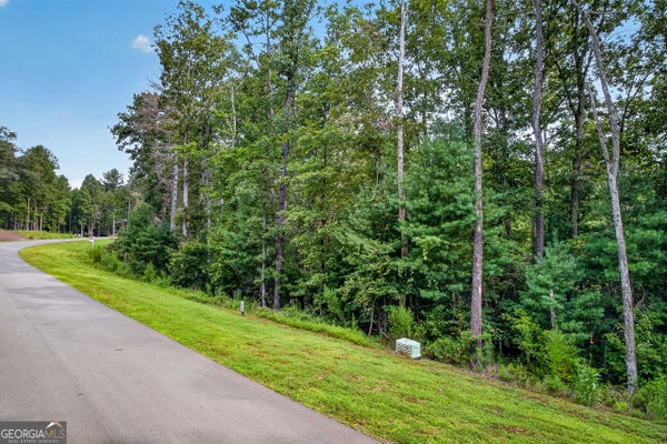 14 CLEAR CREEK SPRINGS DR, ELLIJAY, GA 30536 - Image 3fb9e550d7fa577a0d42f82a7cd34e6a/3004767675
