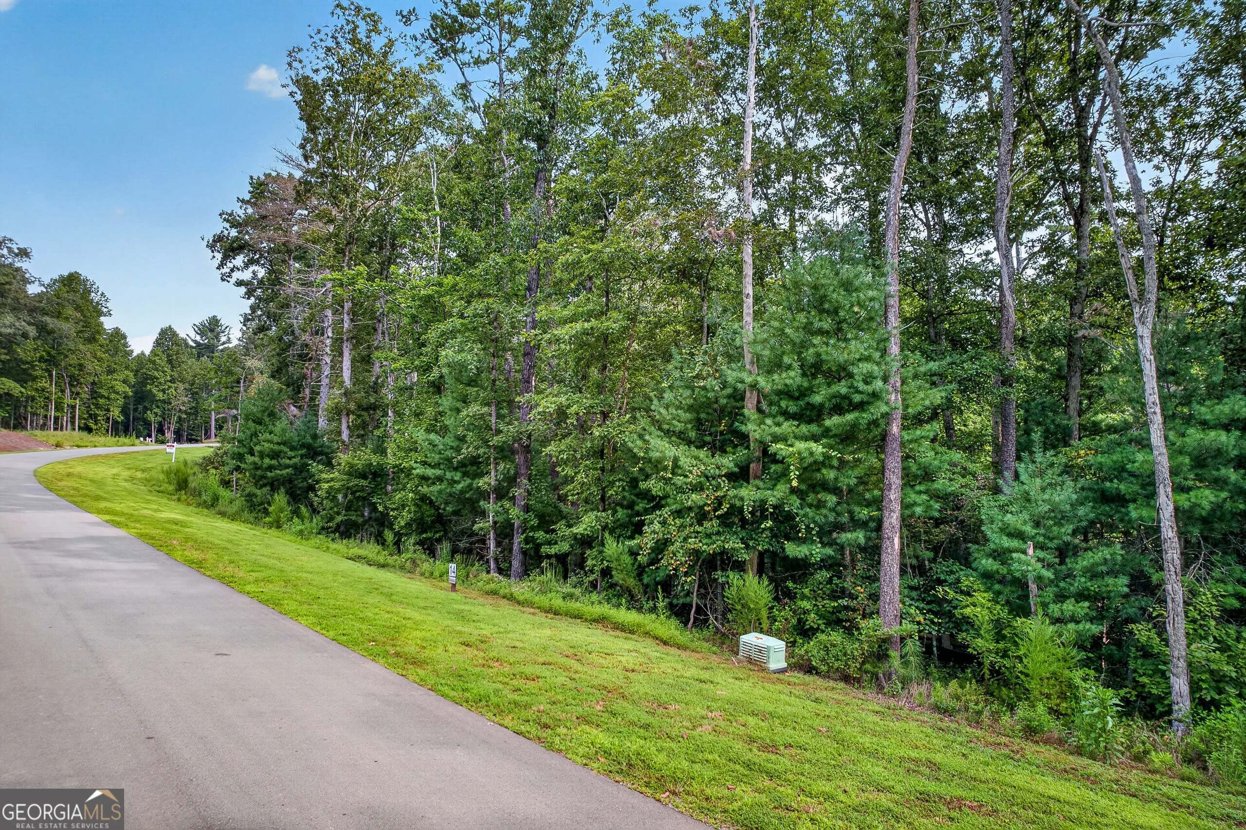 LOT 14 Clear Creek Preserve Way, Ellijay, GA, 30536