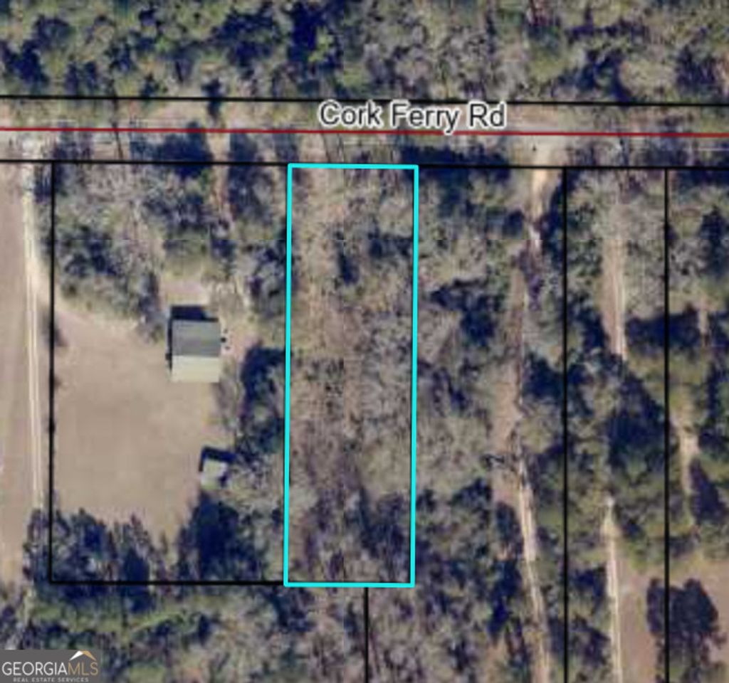 Photo of 000 Cork Ferry Road, Cordele, GA 31015 (MLS # 10660678)