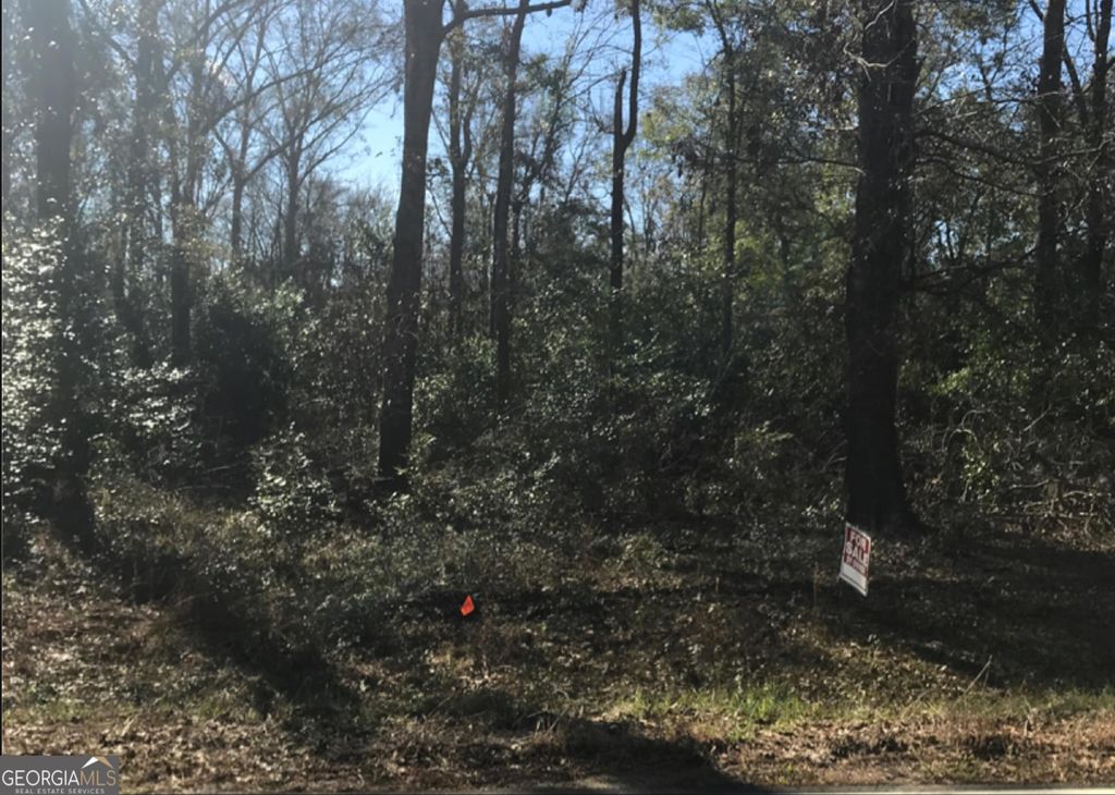 Photo of 000 Cork Ferry Road, Cordele, GA 31015 (MLS # 10660678)