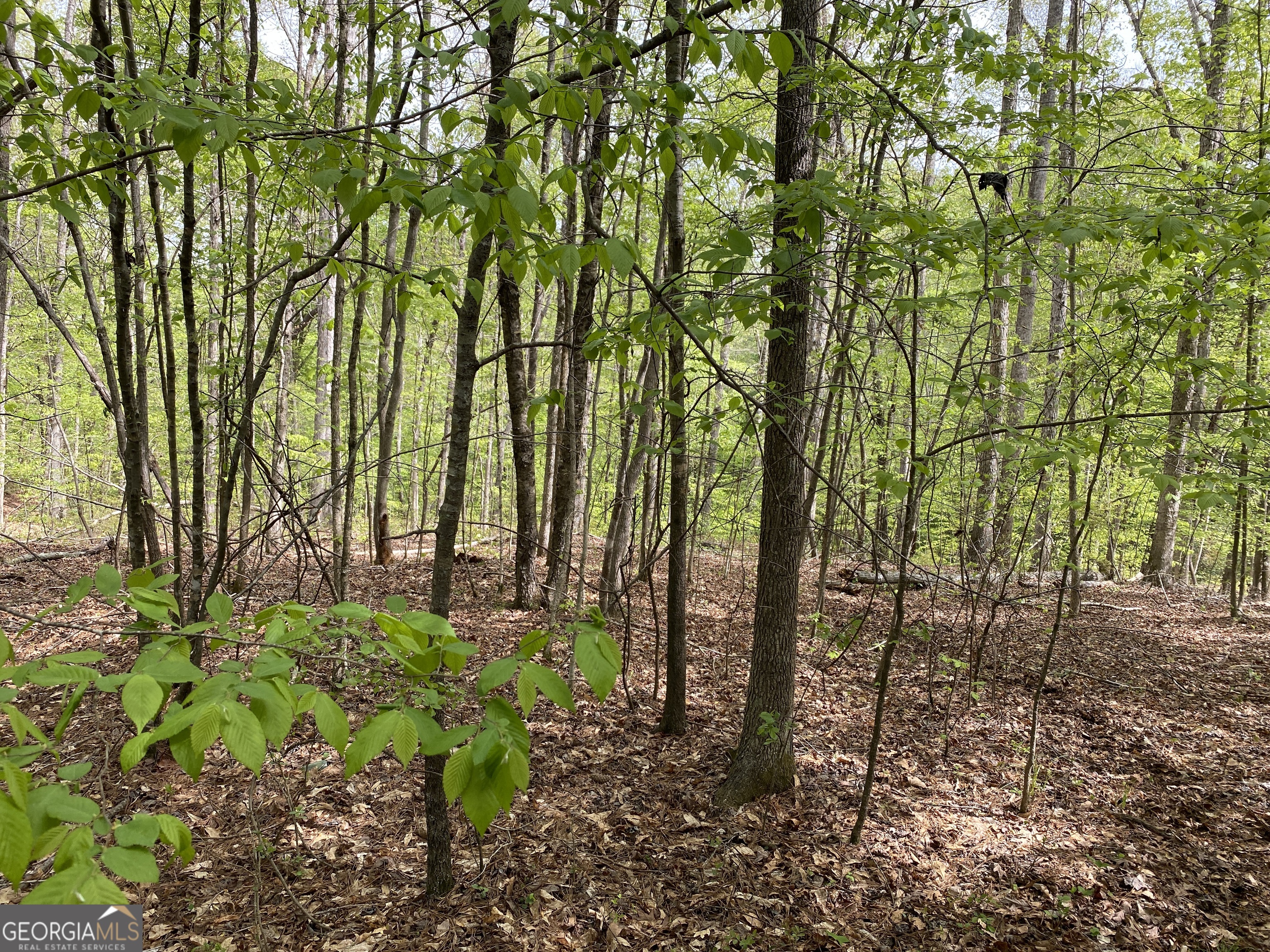 Get out of the city and build your dream home on this gorgeous estate lot in the Estates at Curry Creek. Level land at the front of the neighborhood with a beautiful stream running through it! Minimum square footage 1,800, Barndominiums welcome! Limited covenants. Beautiful, South Jackson County land in 'Estates at Curry Creek'. Put down roots in a serene, scenic and peaceful setting. Directly across the street from South Jackson Elementary School. Gorgeous creeks & springs running into Curry Creek. Rolling hills, wild rhododendrons and hardwood trees. So convenient to 129, Athens & I-85. Directly across the street from South Jackson Elementary School. Dirt roads, gated. New park coming soon on the corner of Highway 129 and New Kings Bridge Rd. (splash pad, walking trails, soccer, pickleball, etc.). If both parcels A & B are purchased together there will be a $500.00 break per acre.