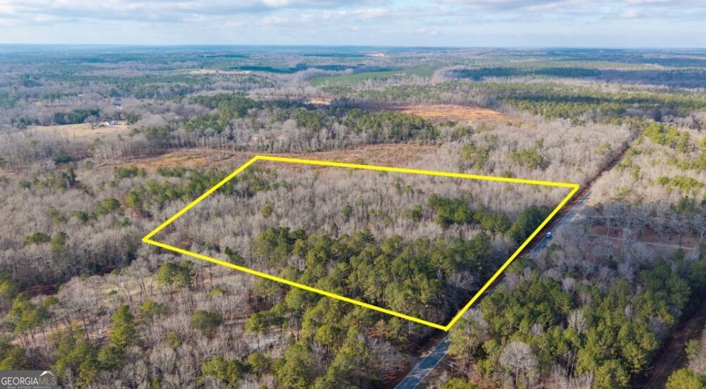 Photo of 1761 E H Snow Road, Mc Intyre, GA 31054 (MLS # 10673336)