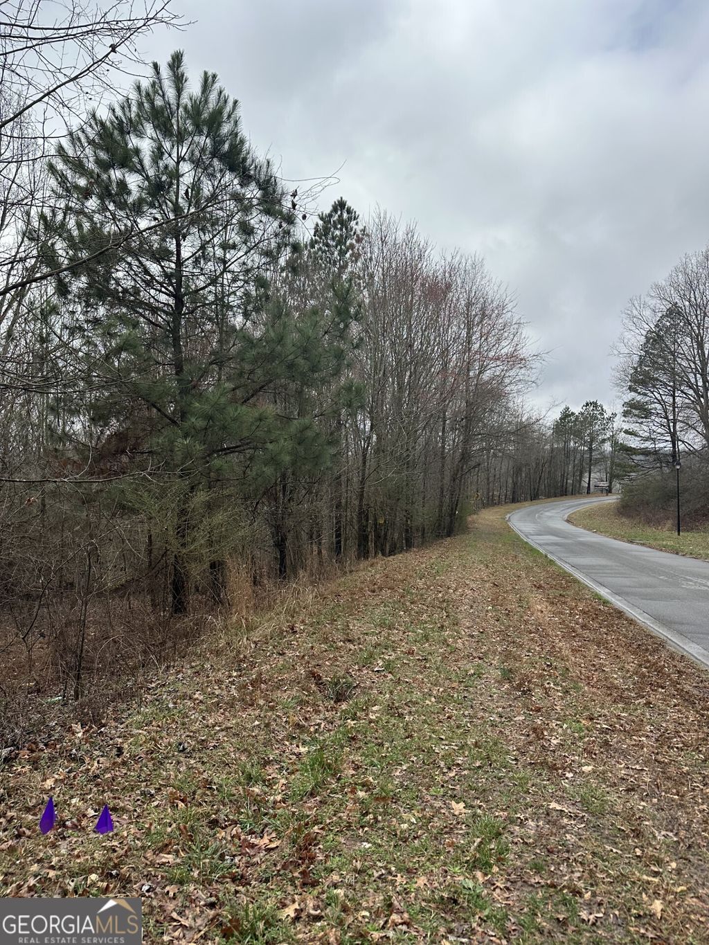 Photo of 3462 Roy Parks Rd, Gainesville, GA 30507 (MLS # 10696166)