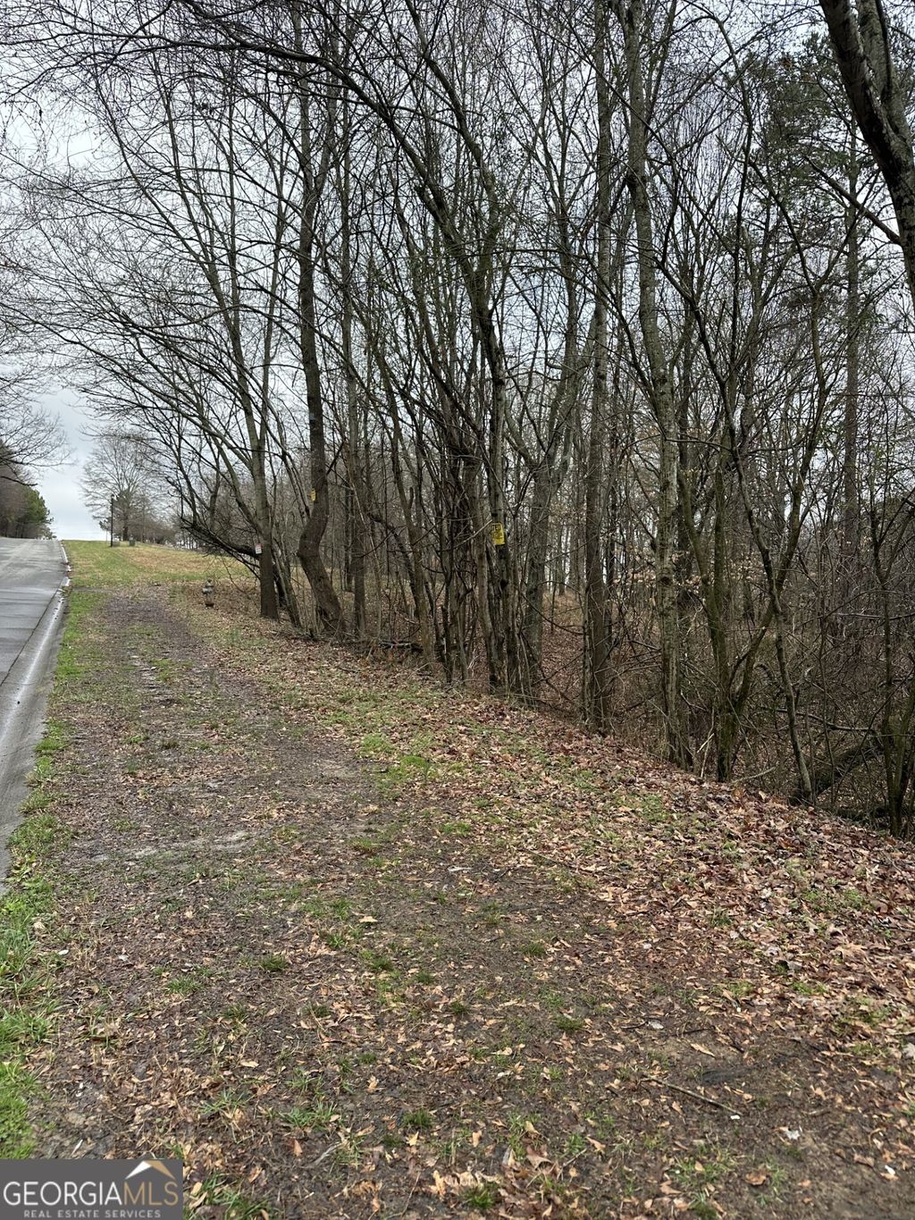 Photo of 3462 Roy Parks Rd, Gainesville, GA 30507 (MLS # 10696166)