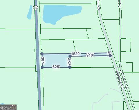 Photo of 4 Us Highway 341 N, Musella, GA 31066 (MLS # 10857373)