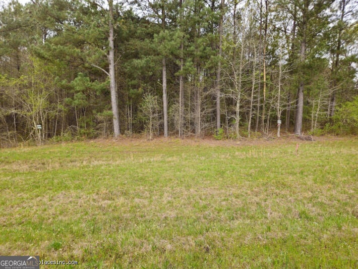 Photo of 4 Us Highway 341 N, Musella, GA 31066 (MLS # 10857373)