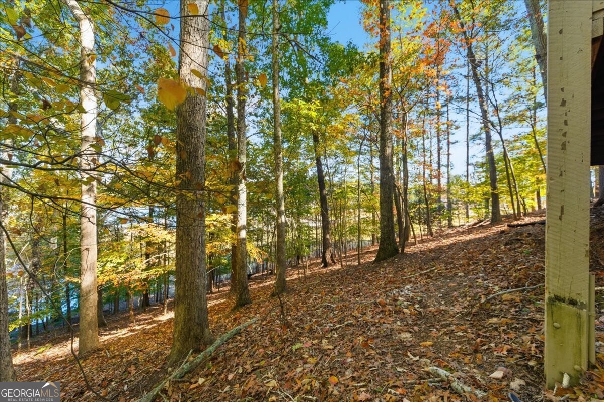 Lake Arrowhead - Residential