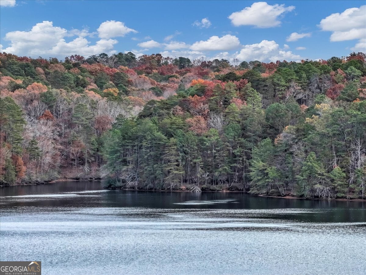 Lake Arrowhead - Residential
