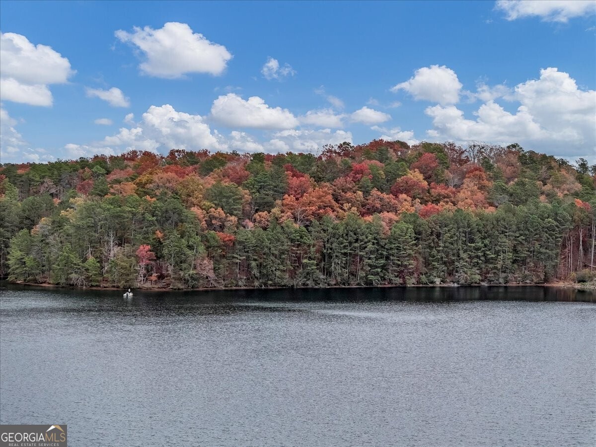 Lake Arrowhead - Residential