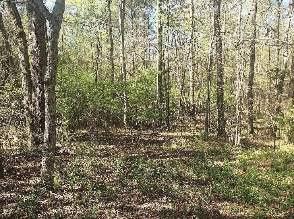 LOOKING FOR YOUR NEW DREAM HOME? Great Opportunity to Build with close in Privacy on this 1.6 Acres. NO HOA FEES! Very convenient to schools & downtown Watkinsville Seller has soil analysis done (Perk is excellent) alongside with survey for the property.