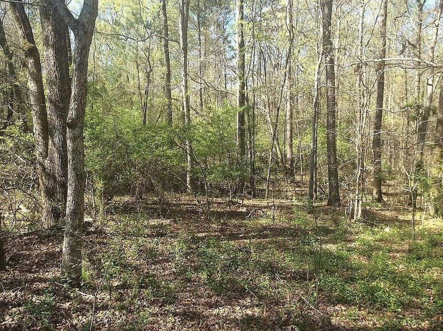 LOOKING FOR YOUR NEW DREAM HOME? Great Opportunity to Build with close in Privacy on this 1.6 Acres.   NO HOA FEES!  Very convenient to schools & downtown Watkinsville   Seller has soil analysis done (Perk is excellent) alongside with survey for the property.