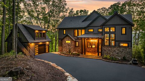 1324 Dana RD Mineral Bluff GA 30559