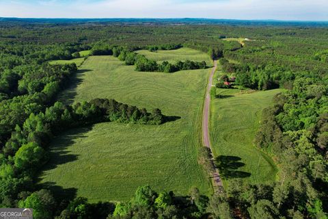 Agriculture in Buchanan GA 728 Lake Circle Rd Rd.jpg