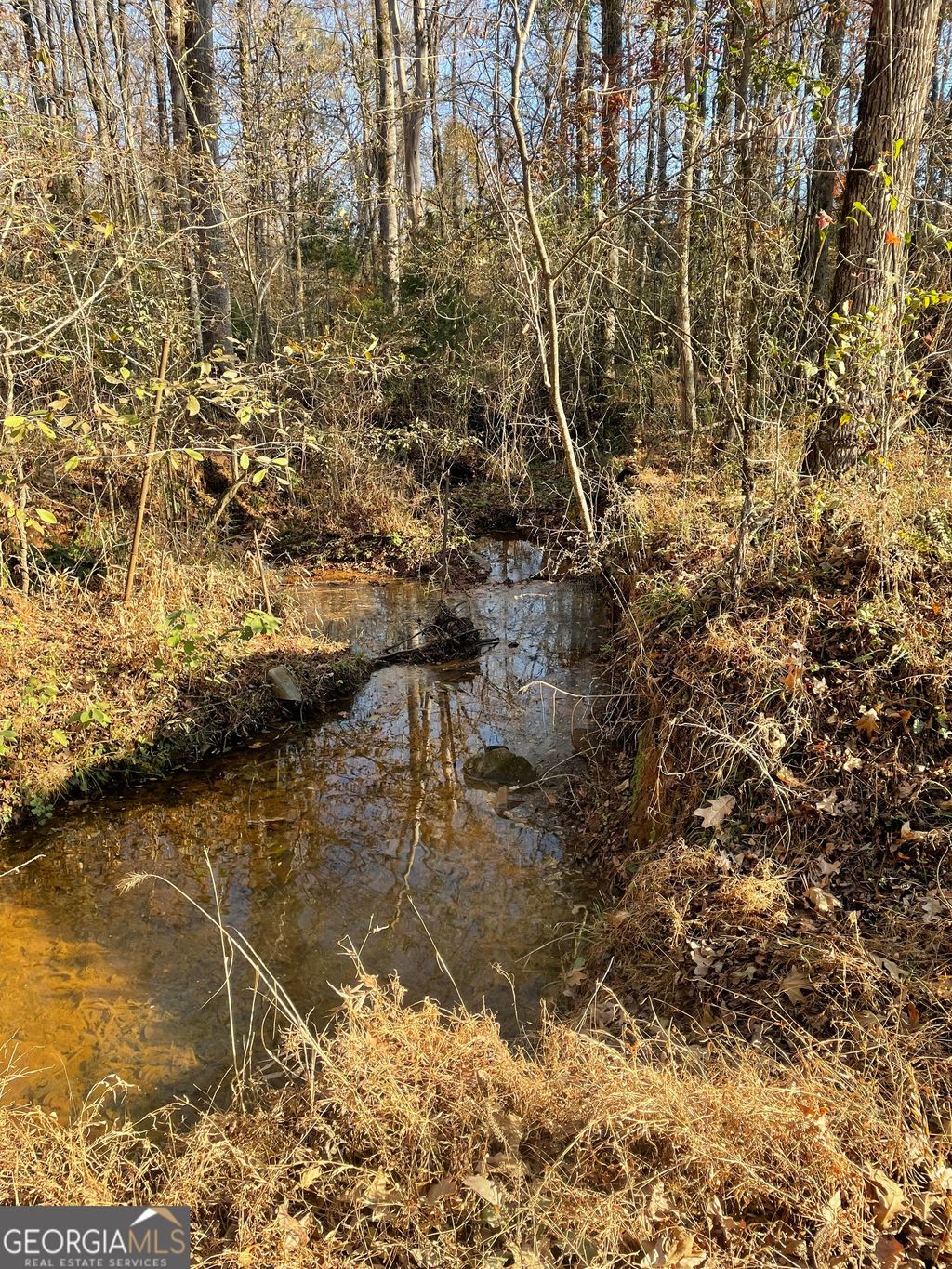 Photo of 0 Fullerton-Phillips &amp; Greer Road, Hillsboro, GA 31038 (MLS # 10721844)