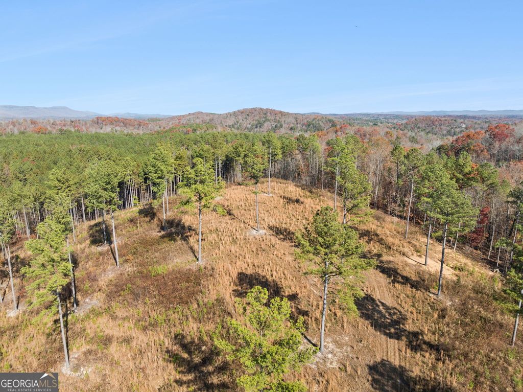 Photo of 000 Sand Pit Road, Summerville, GA 30747 (MLS # 10671729)