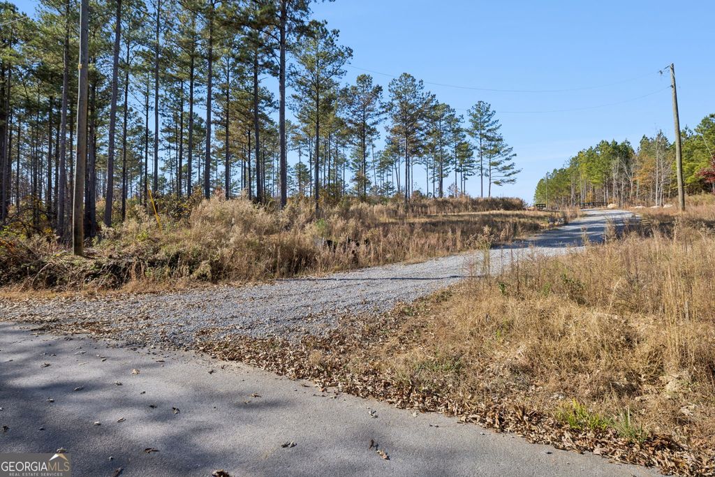 Photo of 000 Sand Pit Road, Summerville, GA 30747 (MLS # 10671729)