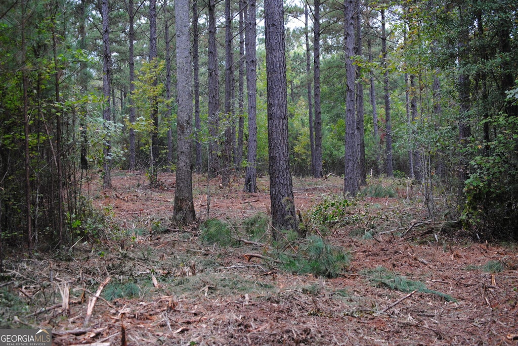 Photo of 151 W Drummond #8, West Point, GA 31833 (MLS # 10870907)