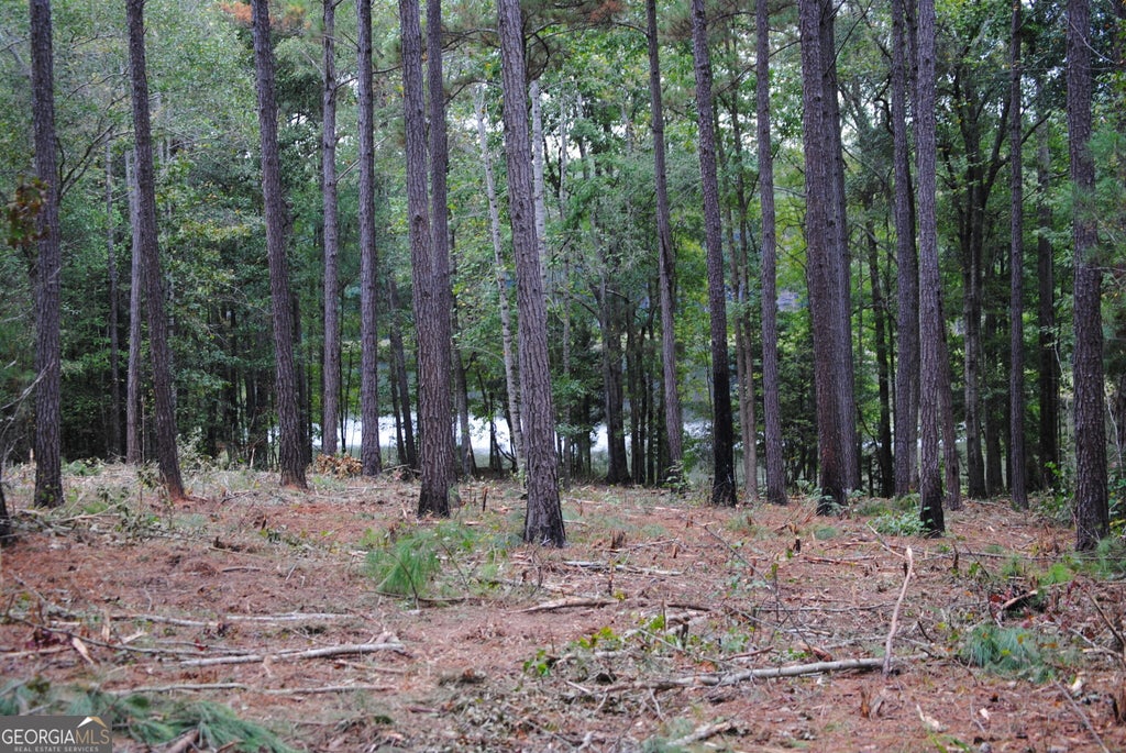 Photo of 151 W Drummond #8, West Point, GA 31833 (MLS # 10870907)