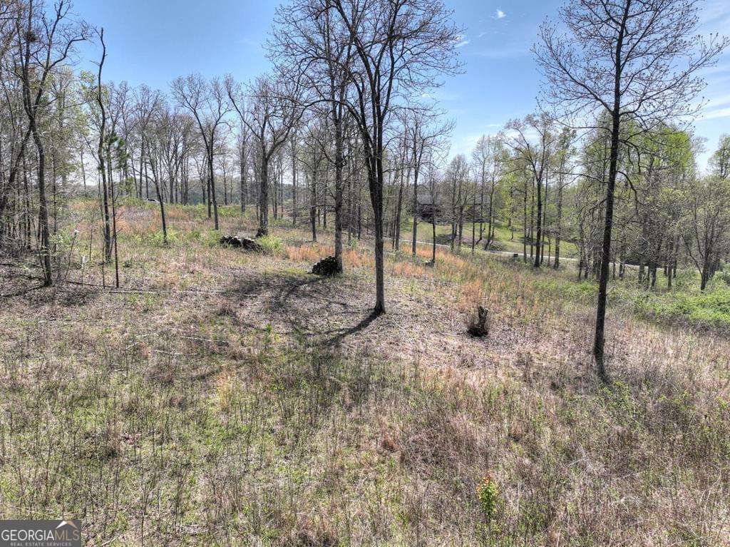 Looking to build your forever home? This beautiful 1.2-acre lot offers the perfect blend of privacy, convenience, and natural beauty. With very gentle sloping terrain, this parcel is easy to build on and has already had soil work completed and filed with the county-one less step for you! Located in the well-maintained private community of Arbor Creek which features: All Paved Roads, Underground Utilities, A serene community park area along the creek with a fire pit and picnic area-ideal for relaxing or entertaining, Peaceful with wooded surroundings offering plenty of space and privacy. Whether you're ready to build now or planning for the future, this is an excellent opportunity to own a reasonably priced, build-ready lot in a sought-after area.