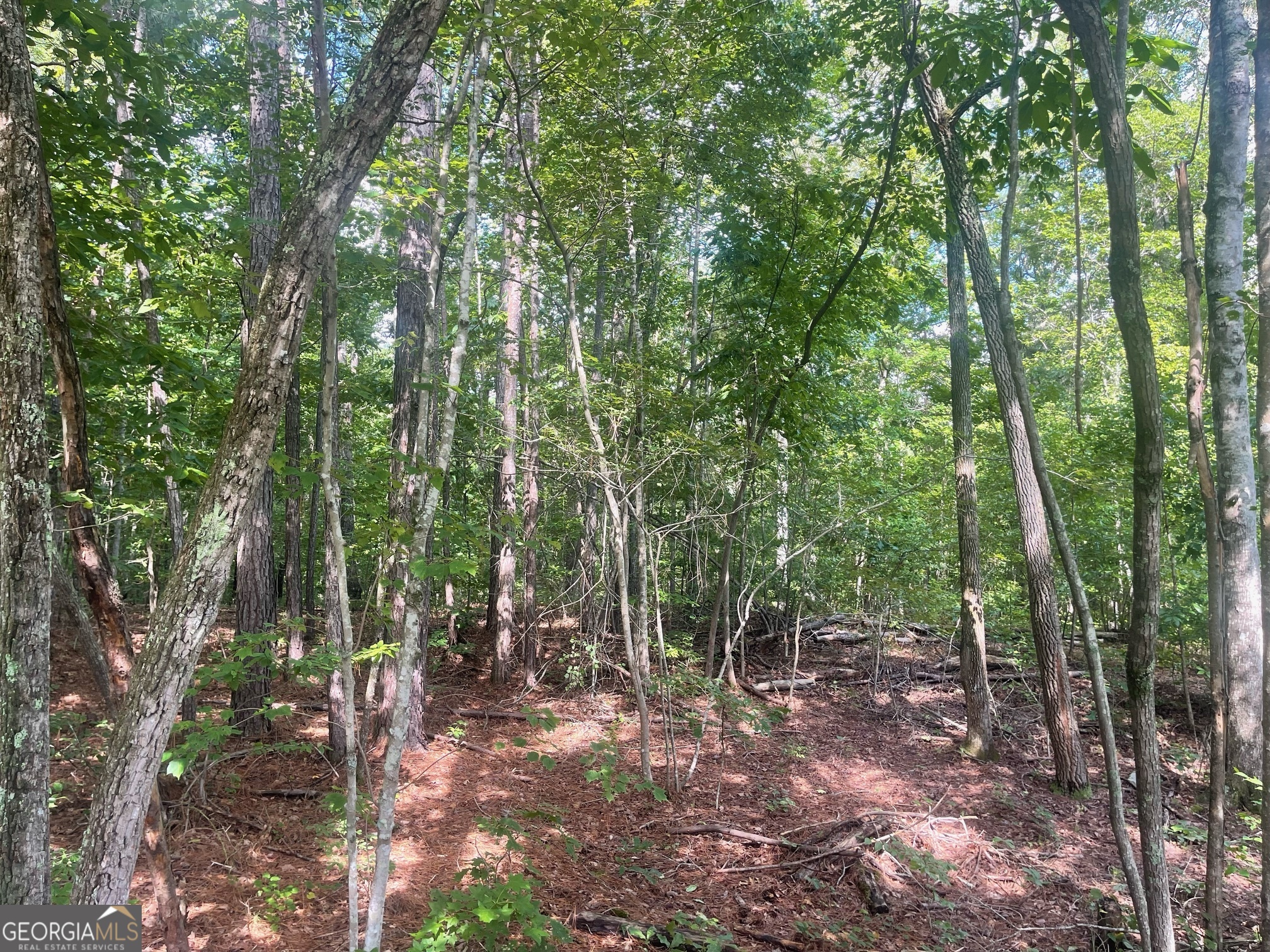 Ready to build your dream home! Create your ideal space tucked away and surrounded by natural beauty, offering plenty of room for development This land is perfect for building or for a modular home!