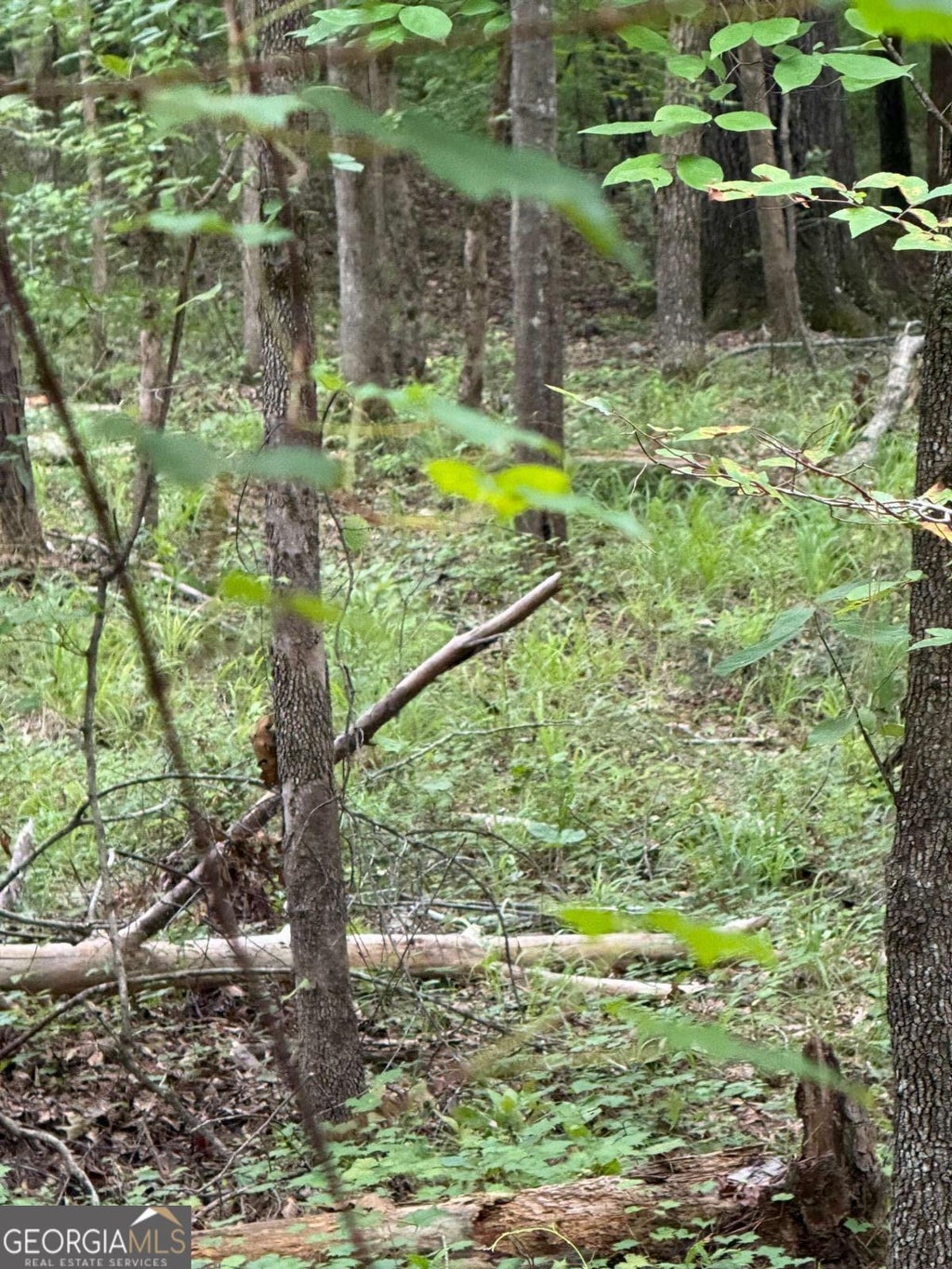 Photo of 79 Island Creek Drive, Sparta, GA 31087 (MLS # 10812660)