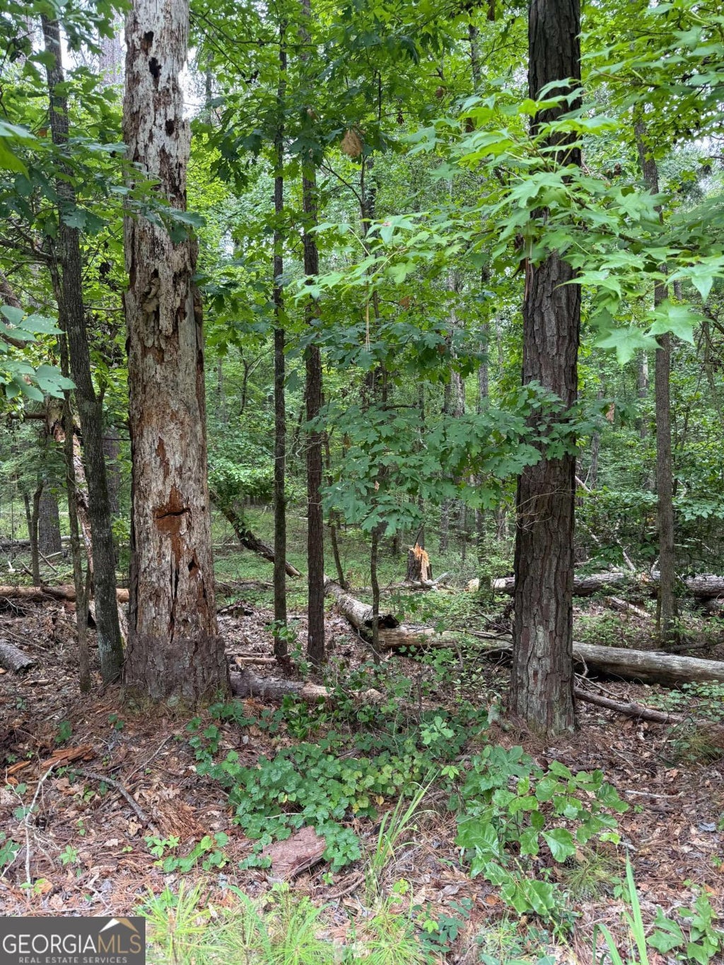 Photo of 79 Island Creek Drive, Sparta, GA 31087 (MLS # 10812660)