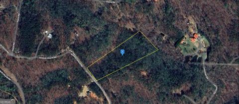 827 Antioch Church RD Ellijay GA 30536