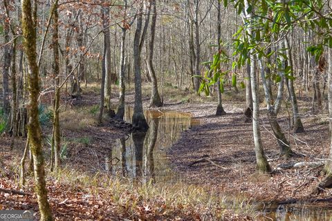 Photo of 0 Limestone Road, Cochran, GA 31014 (MLS # 10659326)