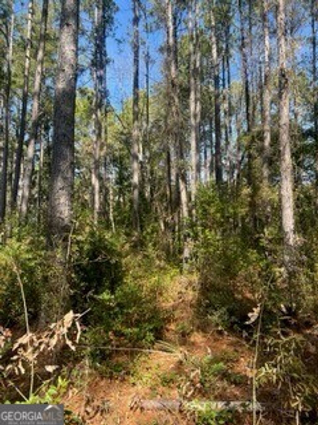 Photo of 241 Valhalla Road #LOT 3, Cordele, GA 31015 (MLS # 10636707)