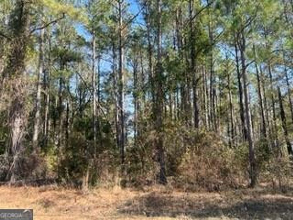 Photo of 241 Valhalla Road #LOT 3, Cordele, GA 31015 (MLS # 10636707)